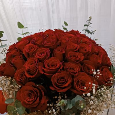 WhatsApp Image 2025-07-28 at 21.35.59 (1)