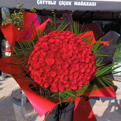 WhatsApp Image 2025-07-28 at 21.35.59 (4)