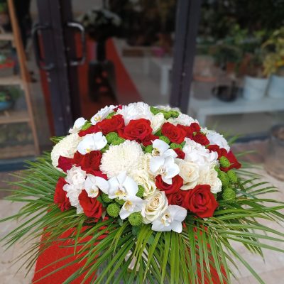 WhatsApp Image 2025-07-28 at 21.35.59 (5)