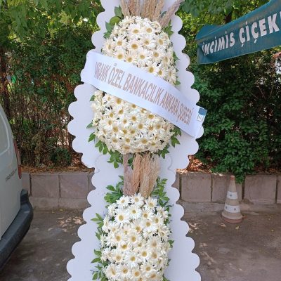 WhatsApp Image 2025-07-28 at 21.36.19 (1)