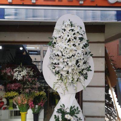 WhatsApp Image 2025-07-28 at 21.36.19 (7)