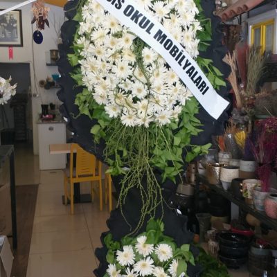 WhatsApp Image 2025-07-28 at 21.36.19