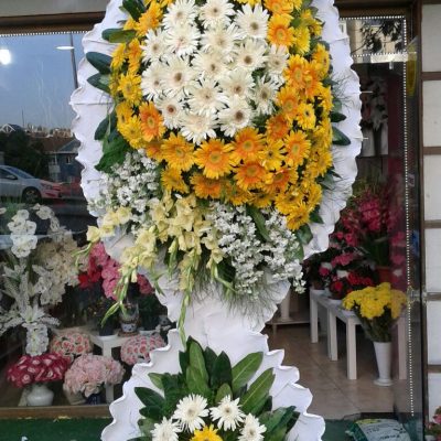 WhatsApp Image 2025-07-28 at 21.36.20