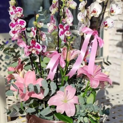 WhatsApp Image 2025-07-28 at 21.44.25 (2)