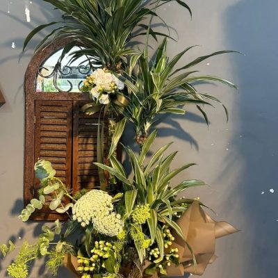 WhatsApp Image 2025-07-28 at 21.44.25 (3)