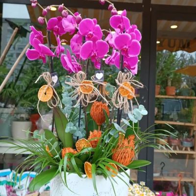 WhatsApp Image 2025-07-28 at 21.44.25 (4)