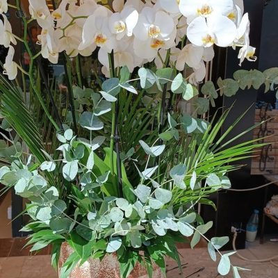 WhatsApp Image 2025-07-28 at 21.44.25 (5)