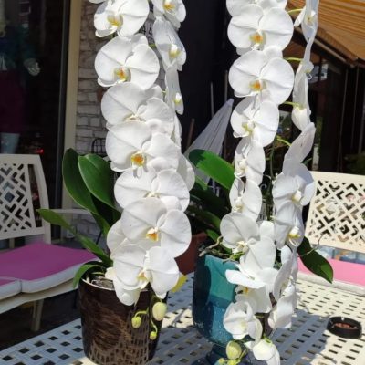 WhatsApp Image 2025-07-28 at 21.44.25 (6)